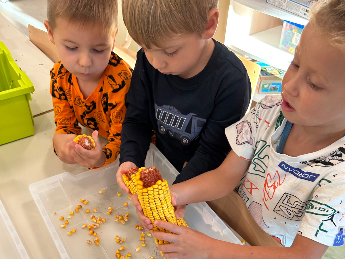 Tigrići istražuju jesenske plodove