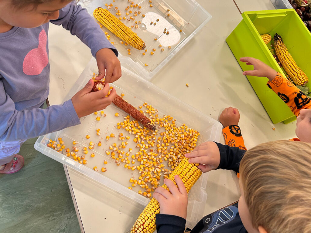 Tigrići istražuju jesenske plodove
