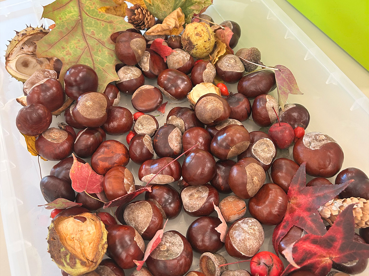 Tigrići istražuju jesenske plodove