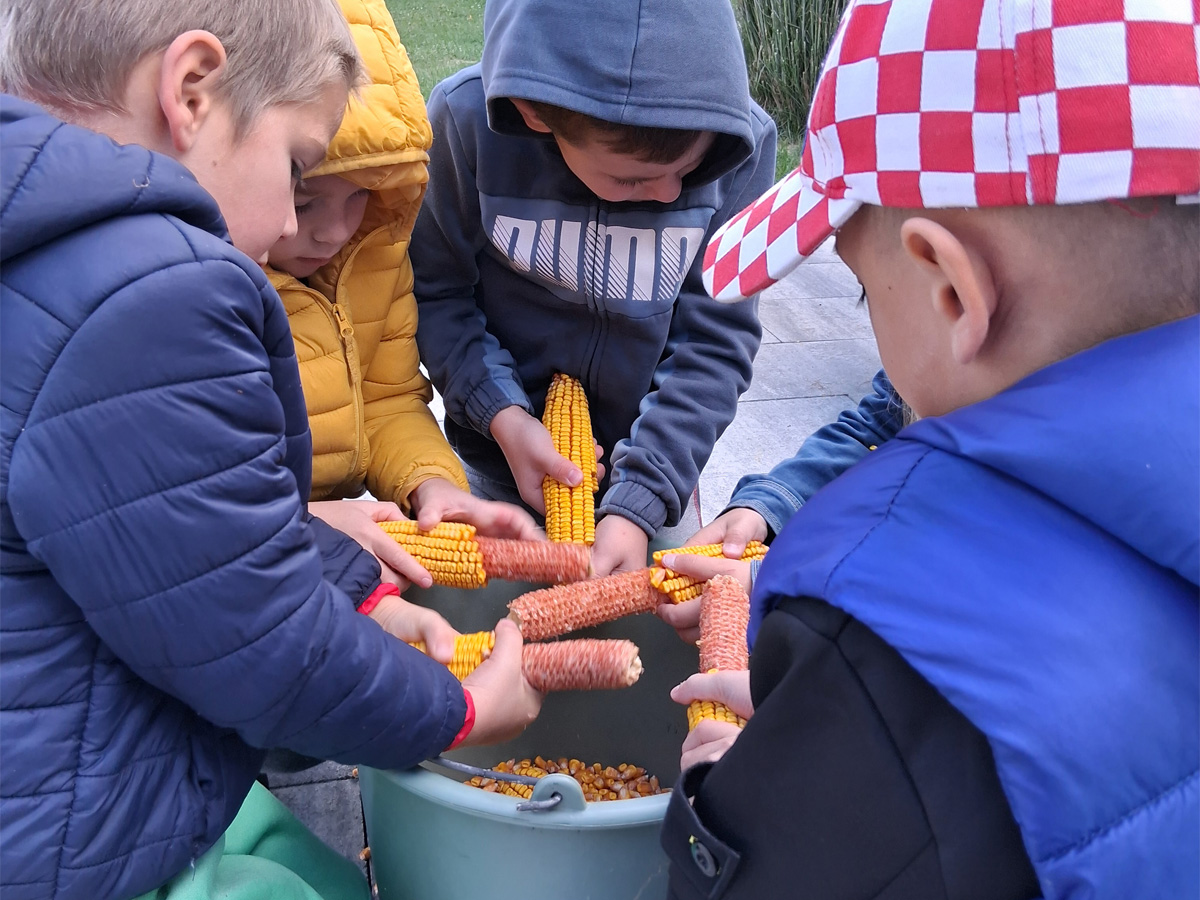 U bakinom vrtu i dvorištu