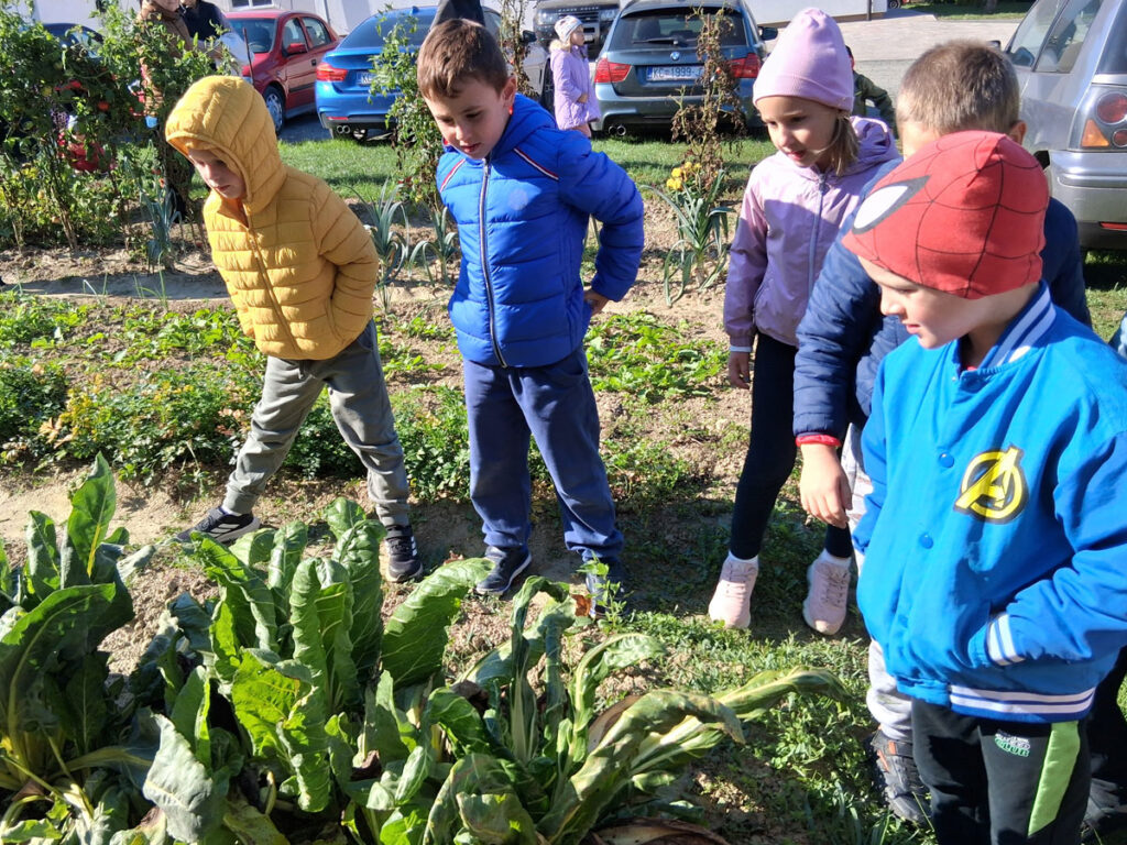U bakinom vrtu i dvorištu