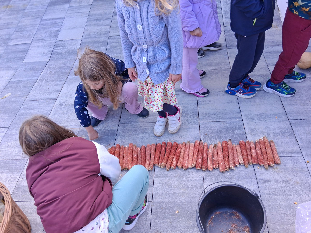 U bakinom vrtu i dvorištu