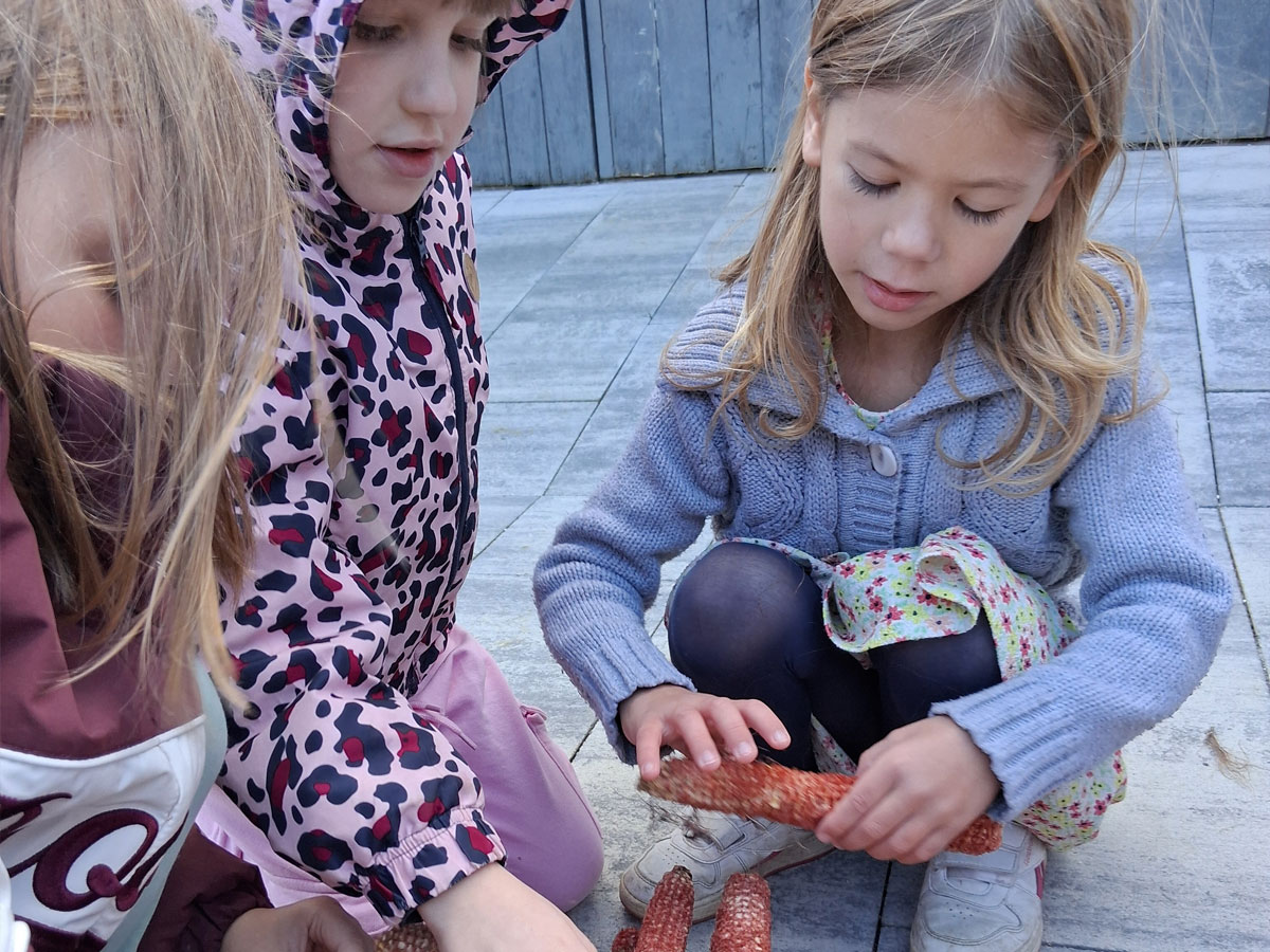 U bakinom vrtu i dvorištu