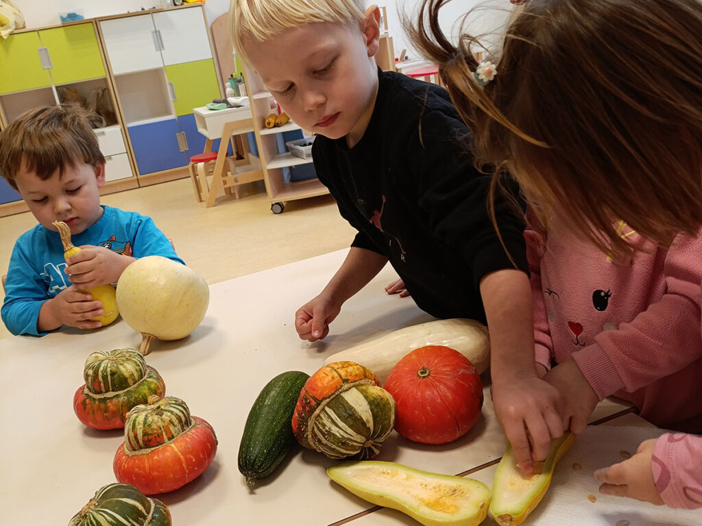 Kakva je to bundeva narasla u vrtu?