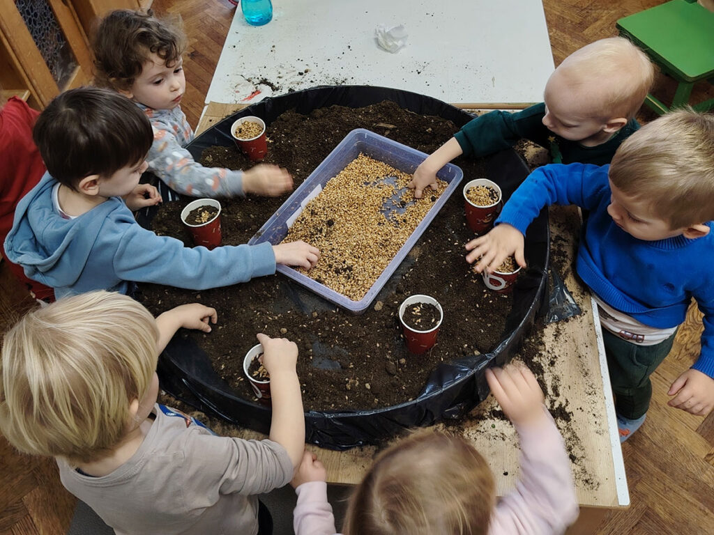 Sijemo pšenicu DV Medenjak