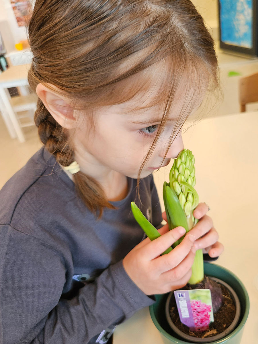 Istražujemo zumbul i slavimo Dan žena