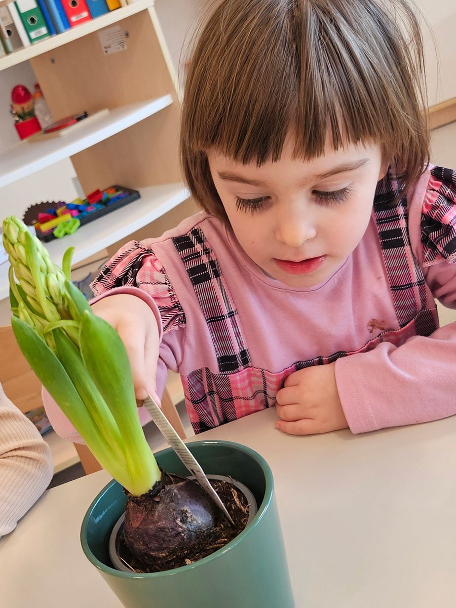 Istražujemo zumbul i slavimo Dan žena