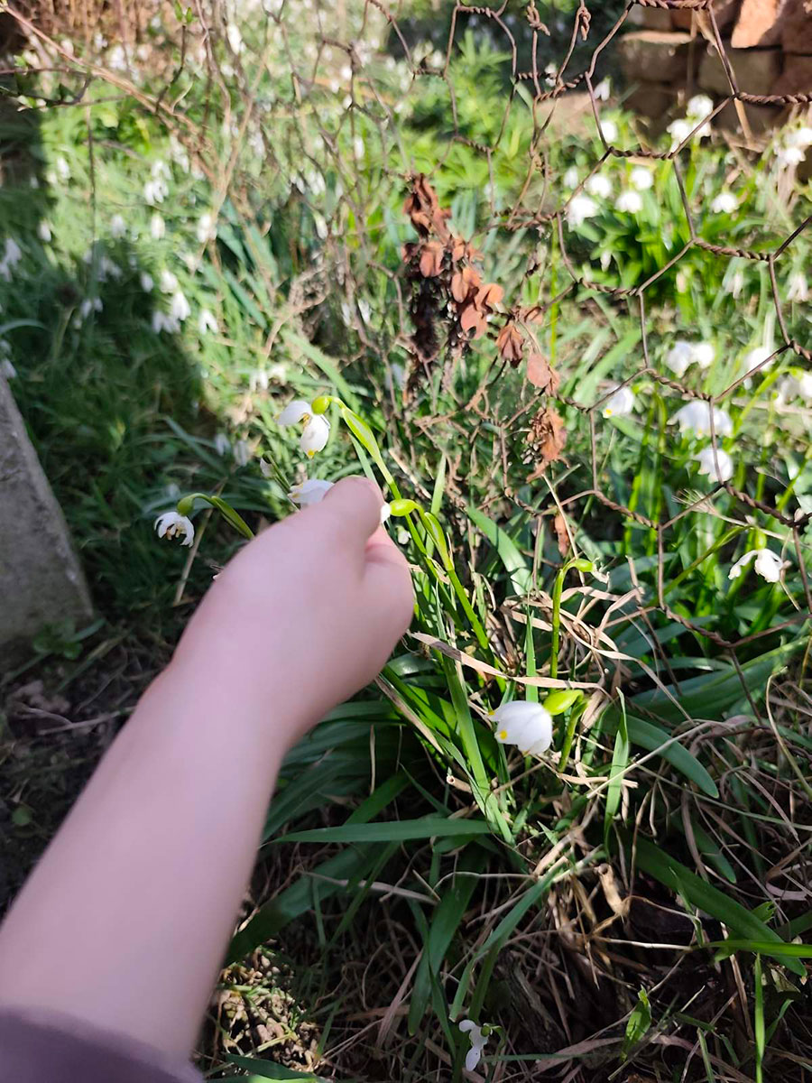 „Kamenčići“ u istraživanju promjena u prirodi