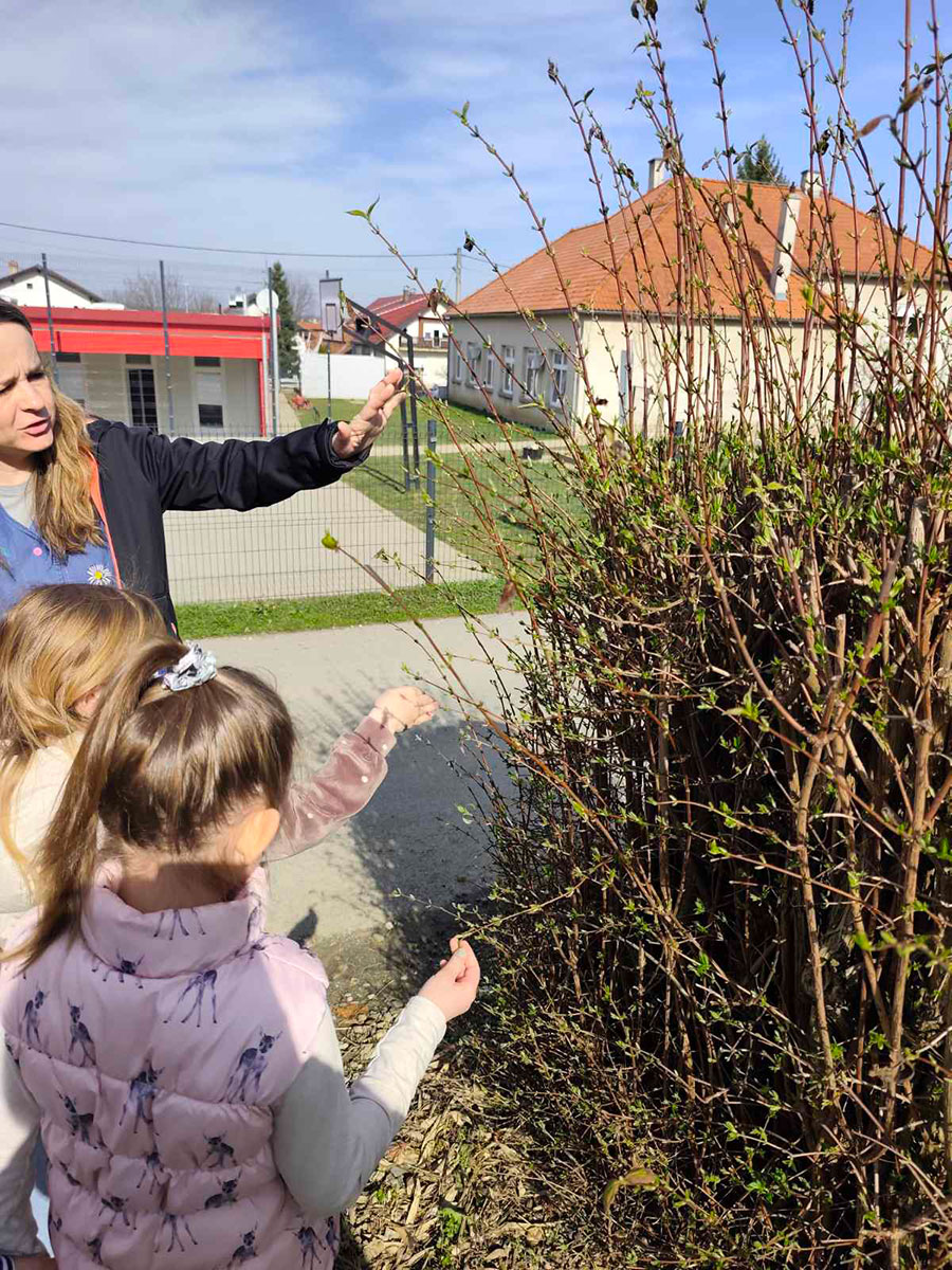 „Kamenčići“ u istraživanju promjena u prirodi