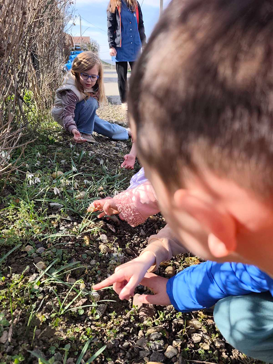 „Kamenčići“ u istraživanju promjena u prirodi