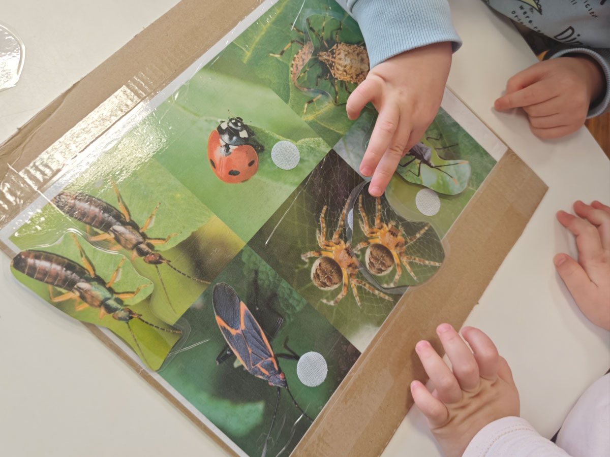 Limači istražuju svijet mrava i bubamara