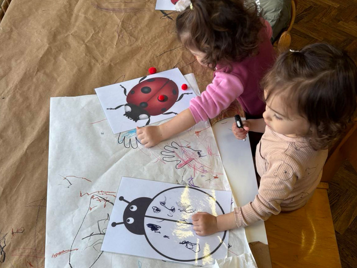 Limači istražuju svijet mrava i bubamara