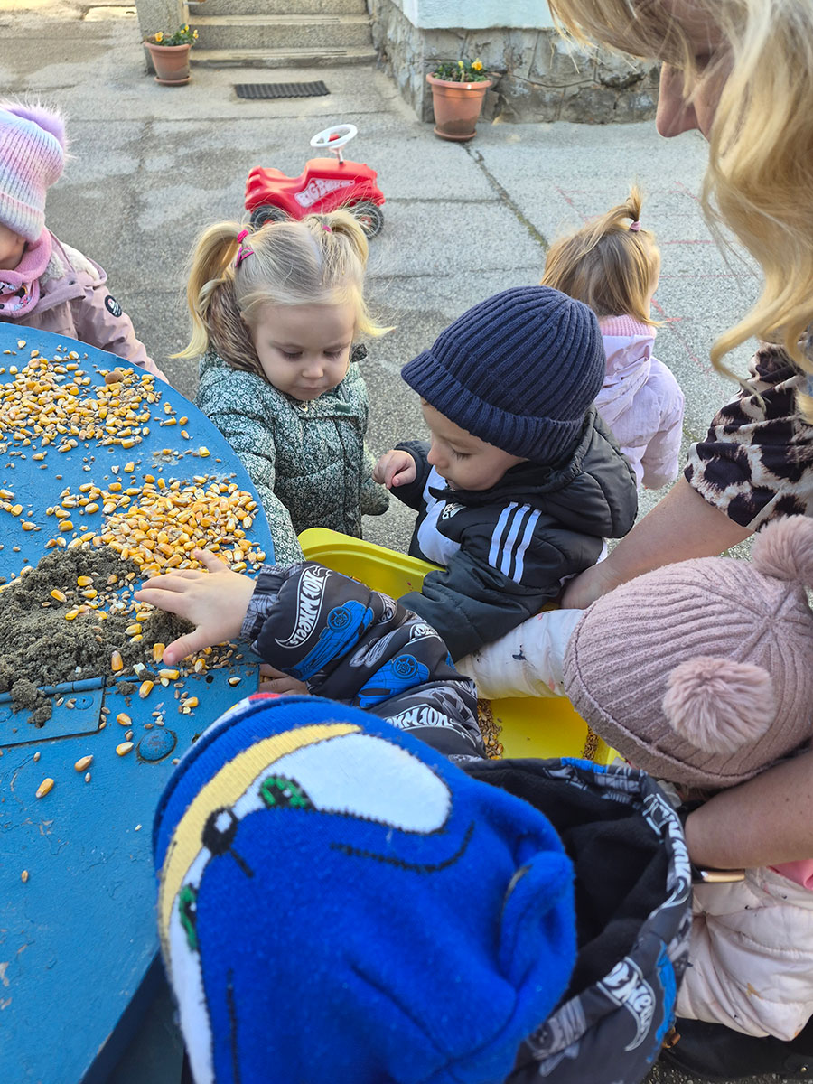 Ptice zimi u Ivančici