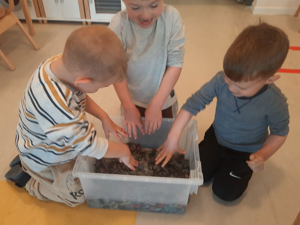 Mali čuvari velikoga svijeta: projektni ekotjedan vrtića Medenjak