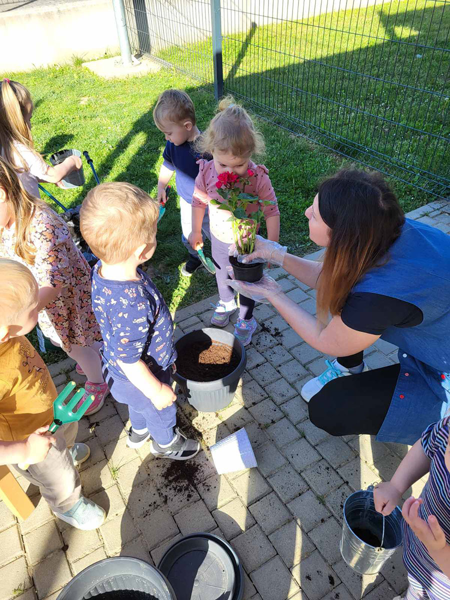 Sadnja cvijeća u „Slonićima“