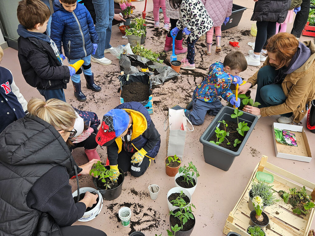 "Školjkice" imaju plan