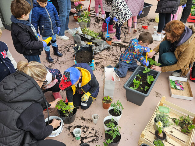 "Školjkice" imaju plan
