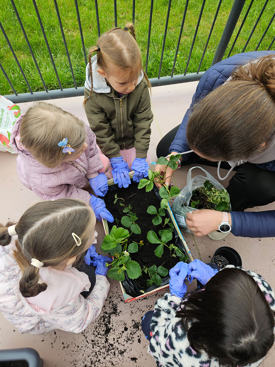 "Školjkice" imaju plan