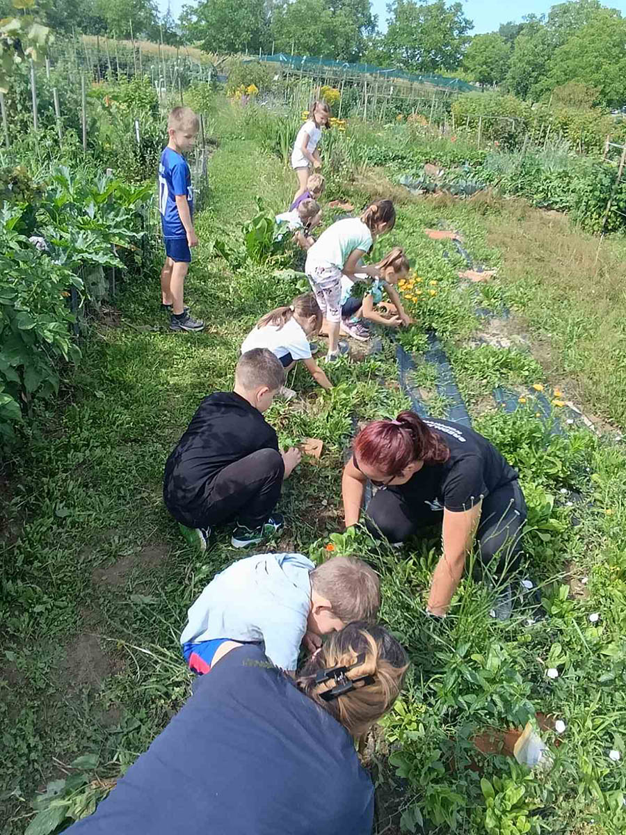 Suradnja s roditeljima i aktivnosti u prirodi